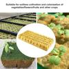 Rock Wool Cubes Starter Grow Cubes for Hydroponics Rock Wool Planting Cubes Clone Cubes Soilless Cultivation