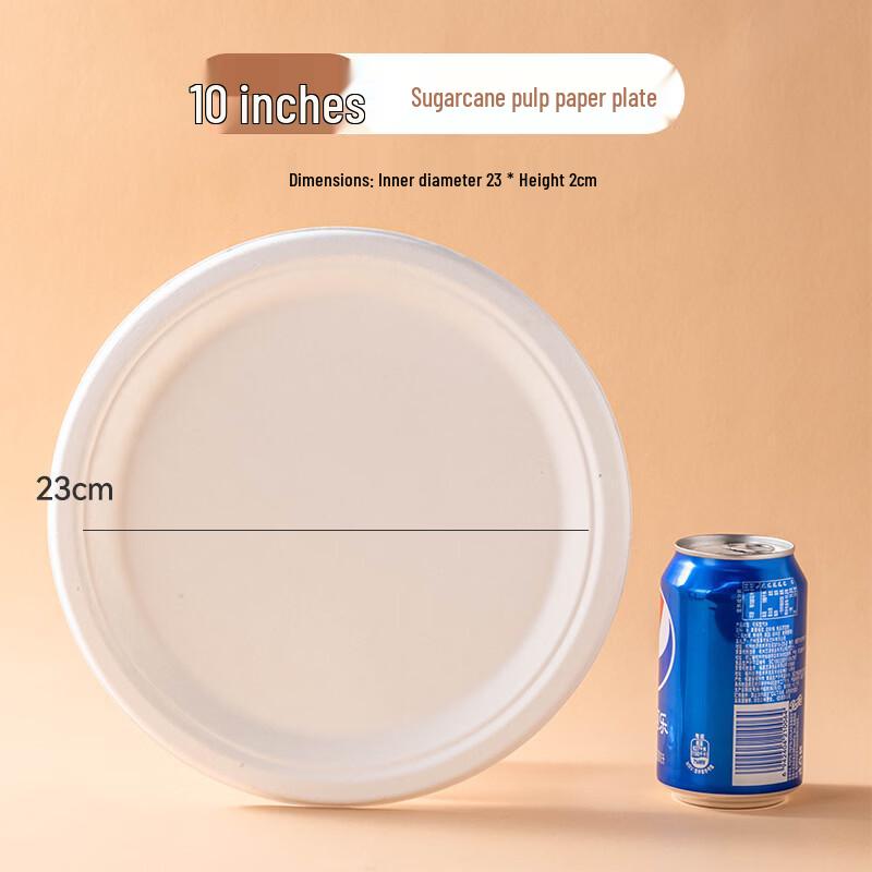 Eco-friendly Sugarcane Disposable Plates