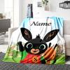 Custom Name Friendship Fun Playroom Party Blanket For Couch Bed Plush Cozy Fuzzy Blanket Super Soft Warm Blankets For Fall And Winter 091611