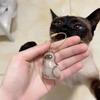 3Pcs My Pet'S Fur Container Cat Hair Storage Box Hanging Cat Keychain Pendant Pet Hair Grooming Souvenirs Bag Hanging Decor