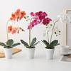 Decorative Two Stem Orchid Arrangement for Stylish For Home Weddings and Events Silk and Plastic with Flower Pot