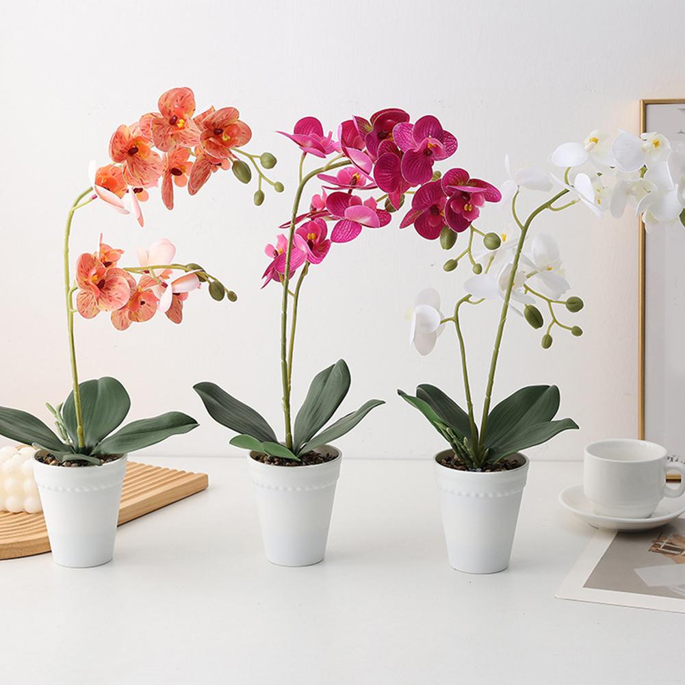 Decorative Two Stem Orchid Arrangement for Stylish For Home Weddings and Events Silk and Plastic with Flower Pot