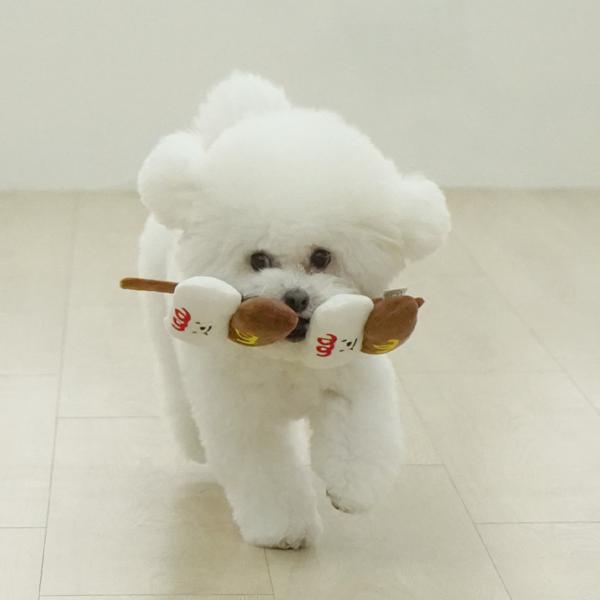 Petbeo Welpen Nasenarbeit Sotteok Sotteok Quietschspielzeug, 1 Stück