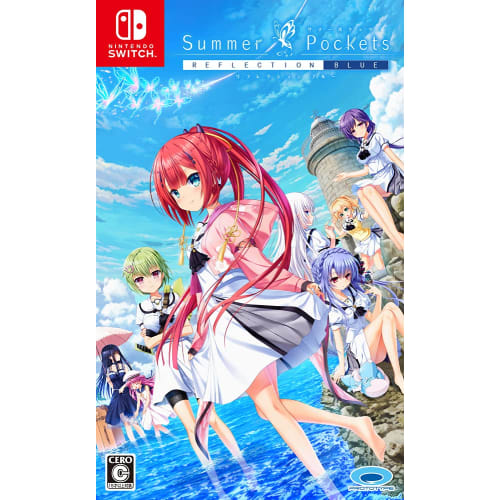 

Летние карманы REFLECTION BLUE - Switch