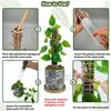 Moss Pole for Climbing Plants Monstera Indoor Plant Supports Plastic Moss Stick Plant Stake for Garden Extension Aid Climbing