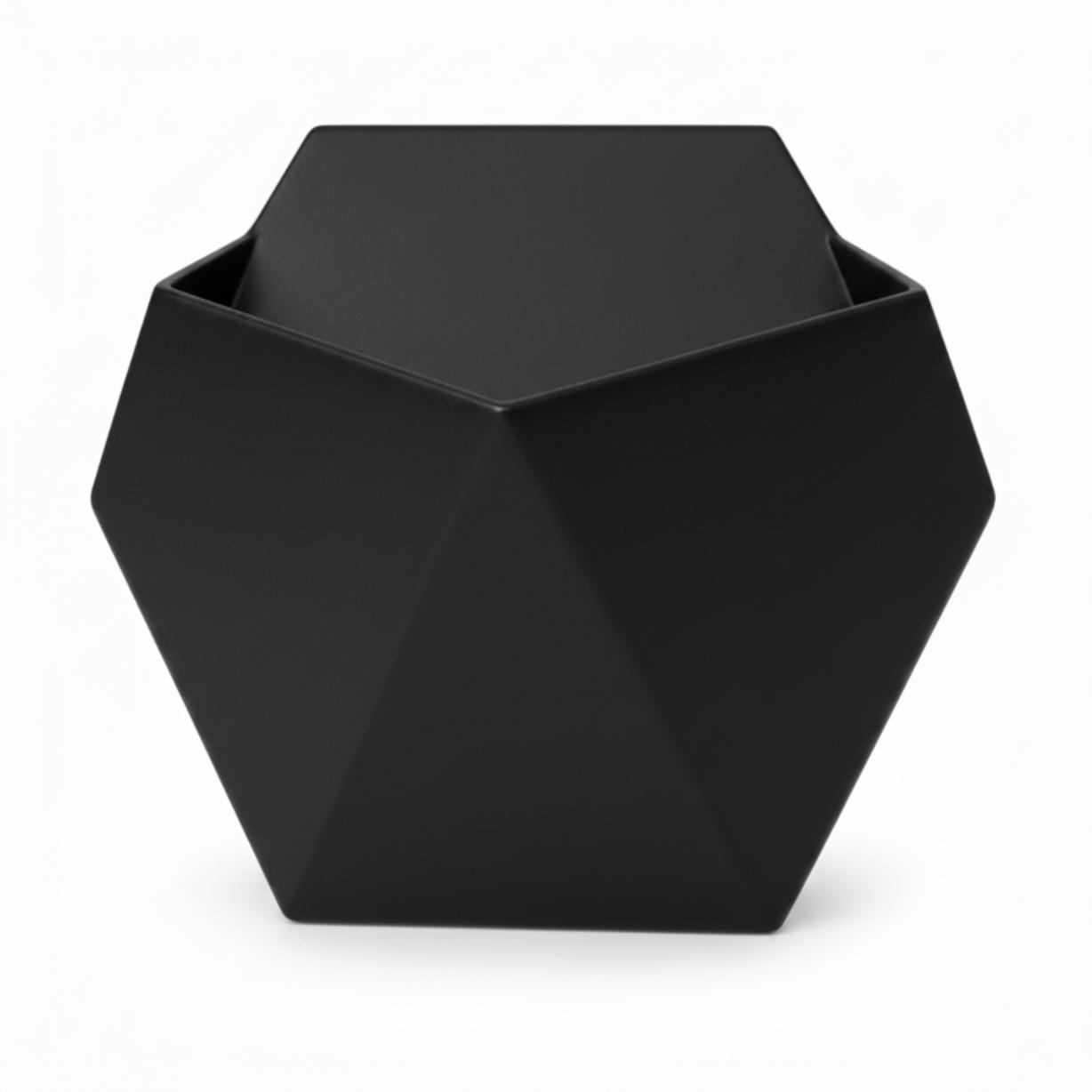 Black hanging wall flowerpot geometric flower stand for interiors