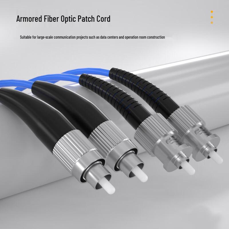 AIENKIS Armored Fiber Optic Patch Cable
