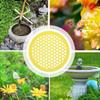 Floating Bee Island Bee Waterer rounded Bee Insect Drinking Tray Beekeeping Setups Luring Insects Waterer Bee Bath Catcher Tray