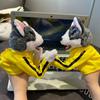 Perros – Juguetes para perros