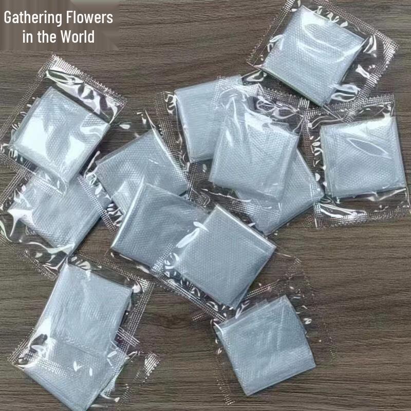 JHS Individually Packed Disposable Transparent PE Gloves