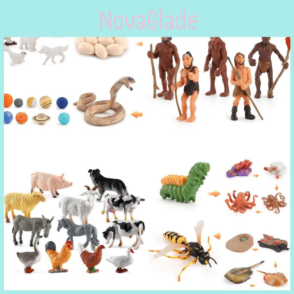 Adorable Montessori Simulation Solid Turtle Chick Frog Animal Growth Cycle Teaching Aids For Engaging Learning And Decorative Displays