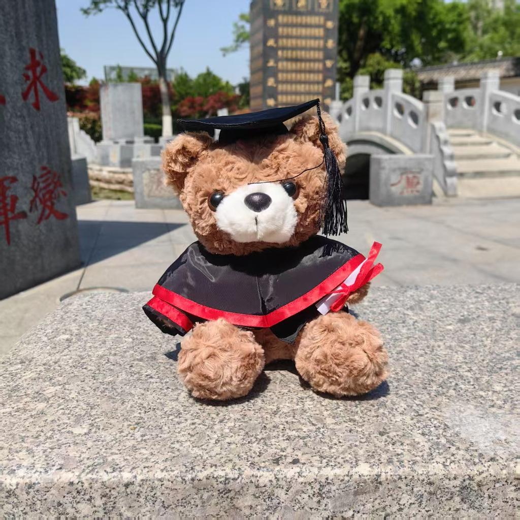 Spielzeug Abschluss Dr. Bärendoll Abschlussbär Schulerinnerungsgeschenk