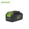 Greenworks Cordless Power Tool Lithium Battery CN Plug (adapter Included)
