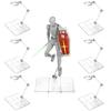 ZRICCOY Figure Base Compatible Stand for Plastic Display Rotating HG RG of Stand, Stand, Models, Base, Acrylic, 1/144 (Pack 6)