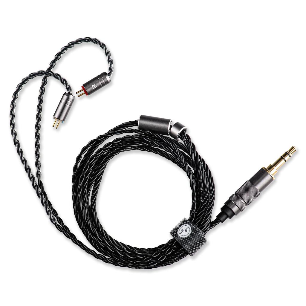 TINHIFI T3 PLUS Direct 10mm LCP Diaphragm Wired Earphones with Detachable OFC Cable HiFi EMs Audiophile Musicians Earphones Black [Official Sale]