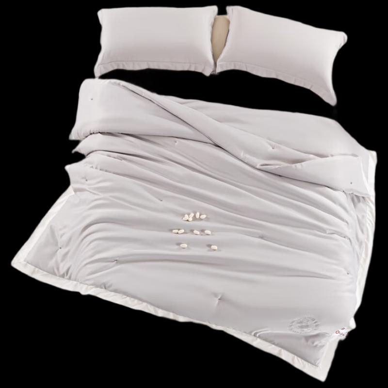 Muji Smooth Mulberry Silk Quilt