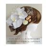 J's Select Phalaenopsis Orchid Flower Hair Accessories Set (10 Pcs) - Ideal for Japanese Traditional Attire, Weddings, Coming-of-Age Ceremonies,