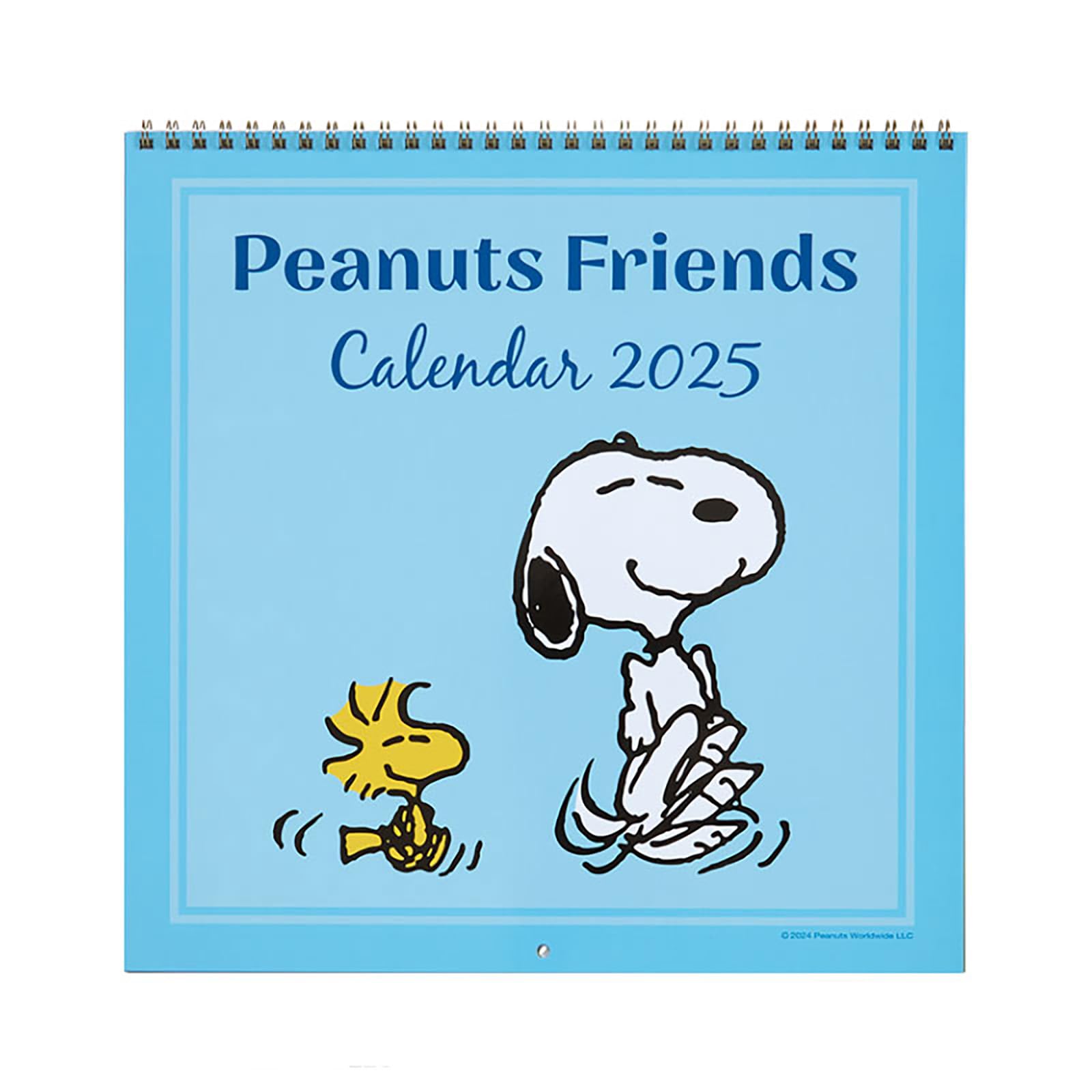 

Sanrio Wall Calendar L 2025 Snoopy Wall Hanging 453161
