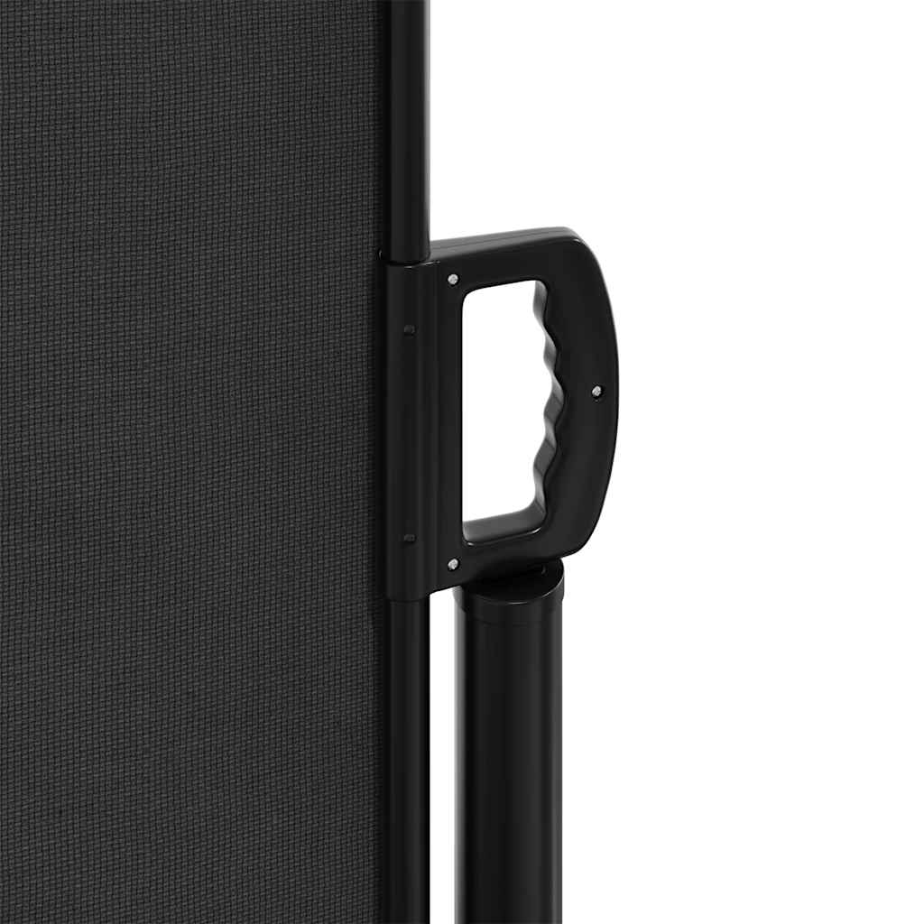 Retractable Side Awning Black 220 x 300 cm