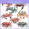 Beautifully Crafted Crab Models Realistic Details Perfect For Collectors And Ocean Lovers