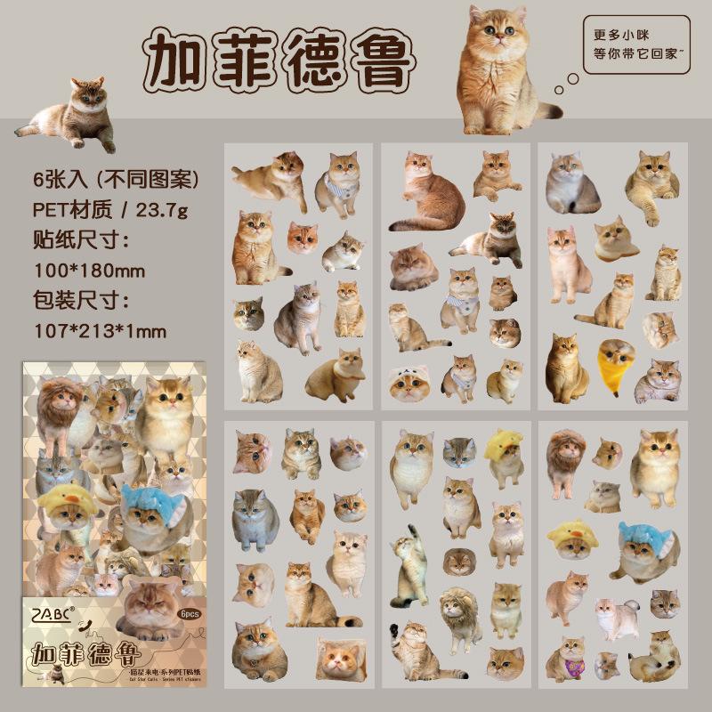 6 pcs Cute PET cat theme PET sticker bag handbag decoration stickers diy handbook material paper Scrapbooking Material