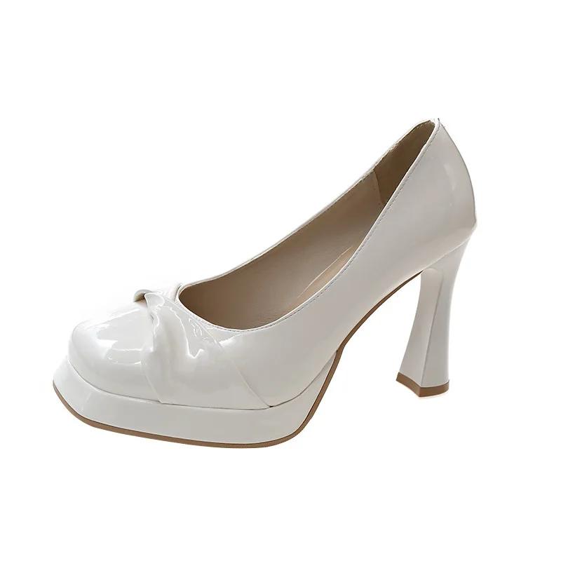 Autumn 2024 New High Heels Female Minority Shallow Mouth Thick with Temperament Fairy Wind Single Shoes Female