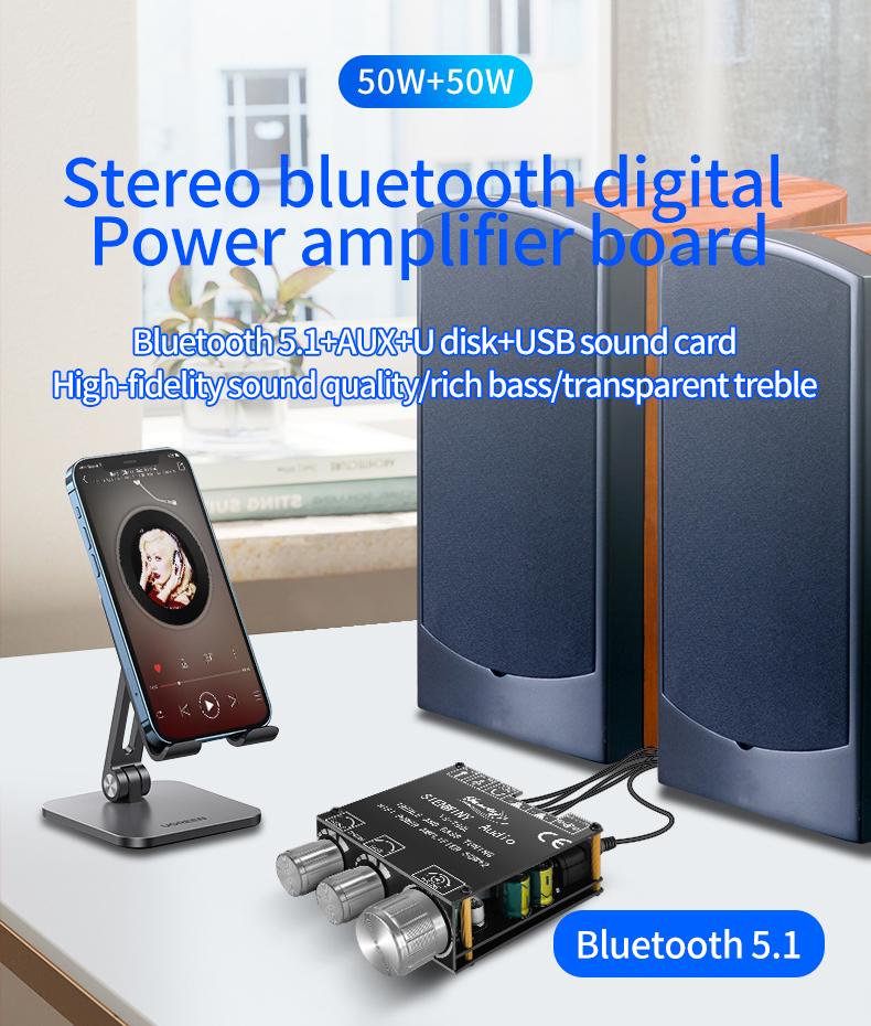 YS-T50L Bluetooth-kompatibler 5.1 Stereo Drahtloser Verstärker 50W*2 Digitaler Leistungsverstärker APP-Steuerung 3,5mm AUX Passive Lautsprecher