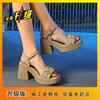 High-heeled Sandals Female Super Fairy Roman Wedge Heel 2025 Summer New Non-slip Heightening Outer Wear Fashionable and Casual