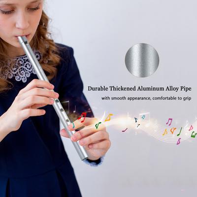 Irish Whistle Tradiční plechová Penny Whistle 6jamková flétna Flétnový hudební nástroj pro začátečníky