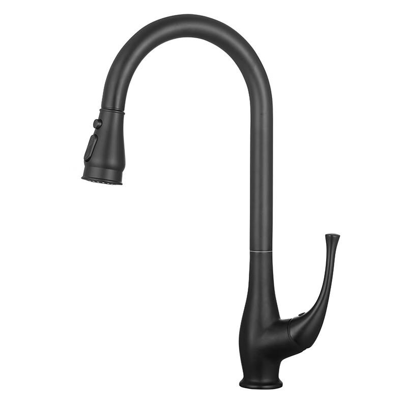 TLXT Kitchen Sink Faucet with Pull-out Sprayer