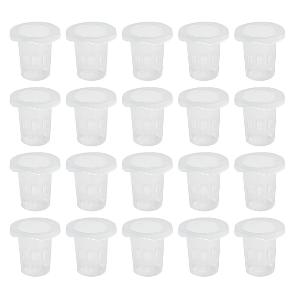 Coppette a Rete per Verdura in Plastica 35*35mm 100pz Coppetta a Rete per Verdura Maglia Forata