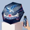 Crystal Palace Football Pattern Printed Mini 5 Folds 8 Ribs Compact Umbrella Windproof Waterproof Lightweight Portable Folding
