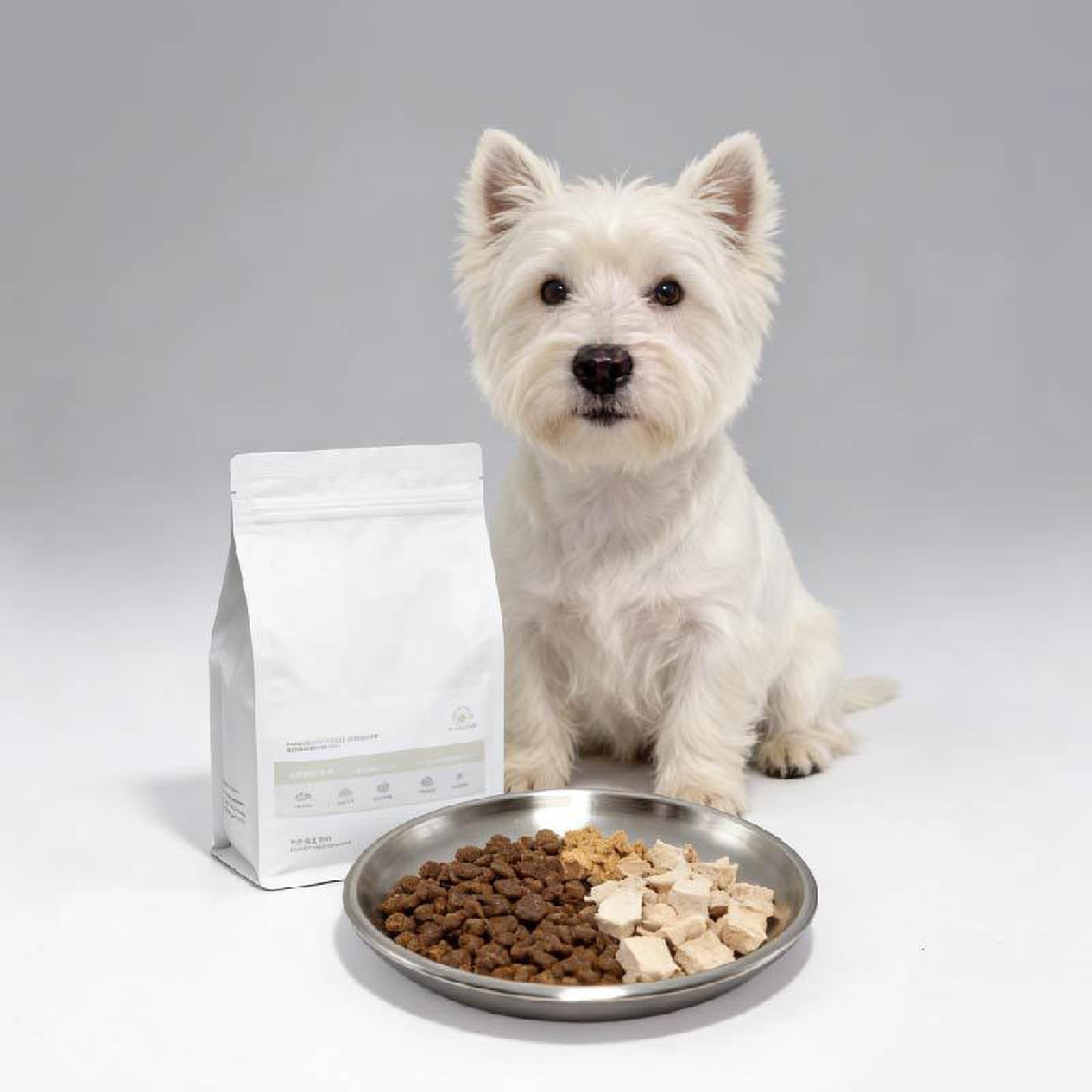 

Petdream Stainless Steel Food Bowls, Shallow Whisker-Friendly Non- Silicone Base Metal Dishes one size срібний