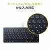 SANWA SUPPLY IPad Keyboard Wired Lightning Connection Black SKB-IP3BK