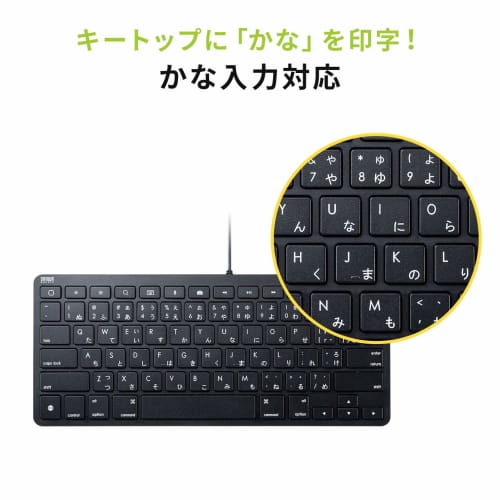 Sanwa Supply klávesnice pro iPad s kabelovým připojením Lightning, černá SKB-IP3BK