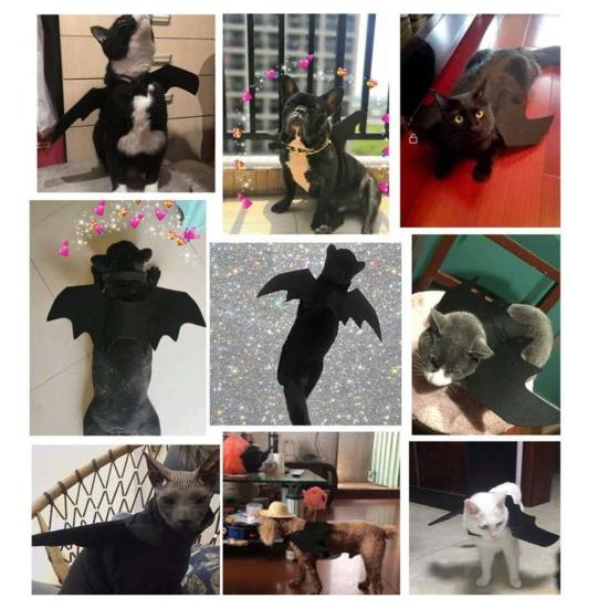 Cat Bat Wing Pet Cosplay Bat Costume Felt Dog Cat Bat Wings Apparel for Halloween Party Dress Up Accessory