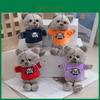 Adorabile Portachiavi Bambola Peluche Gatto Animale di Peluche di Qualità Premium Per Bambini
