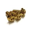 Titanium Alloy (64 Titanium) License Plate Bolts (Gold Color, 3 Pieces)