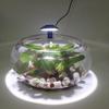 Round Waterproof LED Fish Tank Light for Aquatic Plants and Color Enhancement
