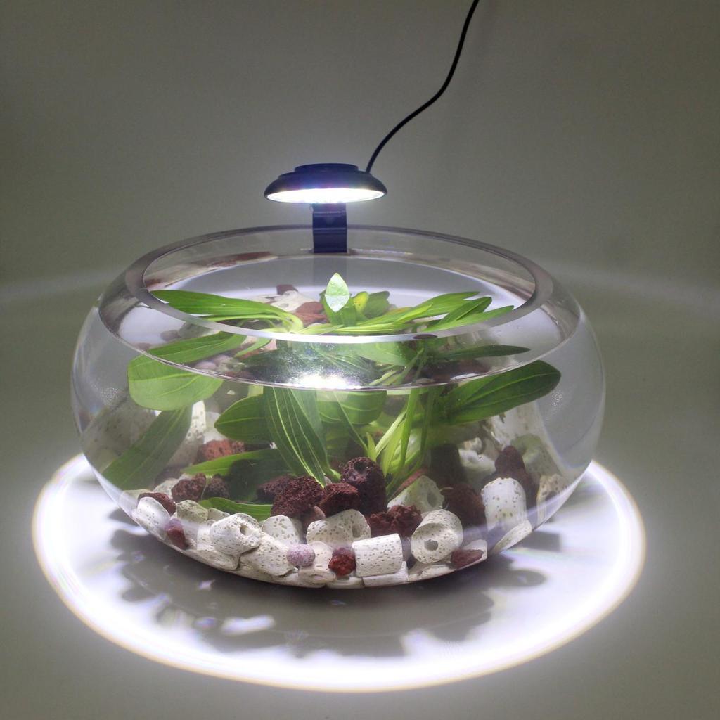 Round Waterproof LED Fish Tank Light for Aquatic Plants and Color Enhancement