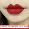 Big Brand Genuine Goods Non-Fading No Stain on Cup Cameo Brown Lipstick Matte Non-Decolorizing Lasting Nourishing Waterproof Plain White