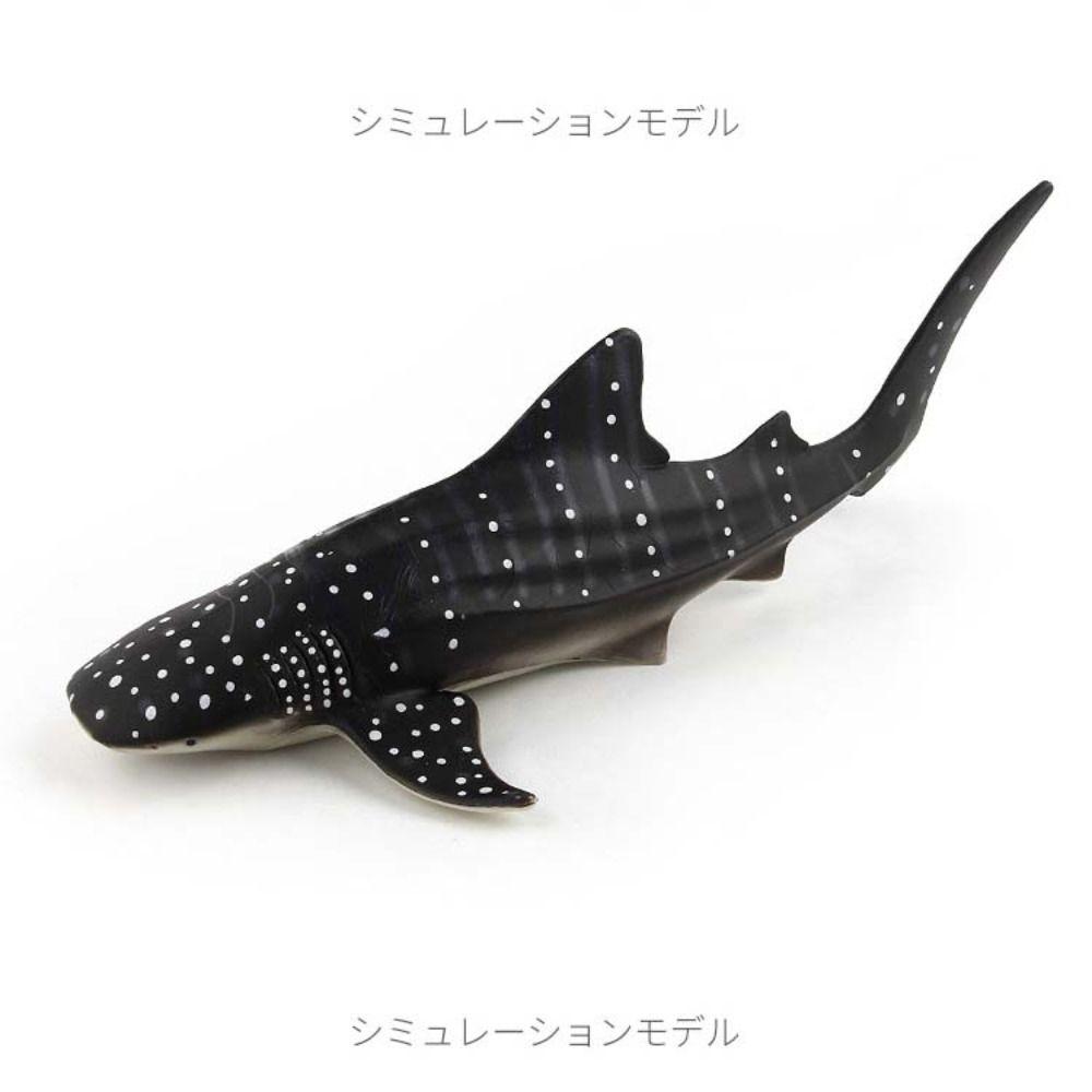 Ocean Animals Marine Animal Model Simulation Sea Life Figure Creative Whale Figurines  Home Decor