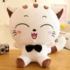 Cute big face cat plush toy doll throw pillow cat doll rag doll children's birthday gift