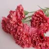10pcs Real Touch Artificial Carnation 3D Fake Flowers New Simulation Flower  Mother's Day