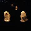 Snowy Owl Stake Lamp Solar Resin Waterproof Decorative LED Lawn Light for Outdoor Garden Patio
