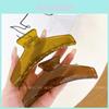 Elegant Jelly Color Shark Hair Clip For Women 11cm Stylish Design For Fashionable Updos