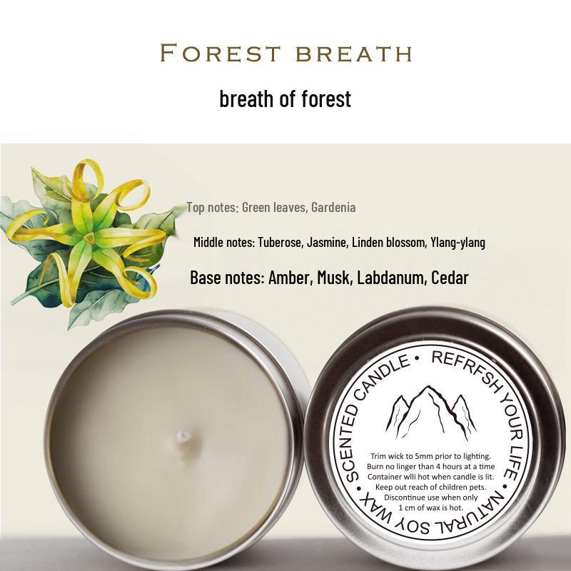Scented Candles: Handmade Essential Oil for Bedroom, Sleep Aid, Safe for Babies & Pregnant Women, Indoor Fragrance Souvenir