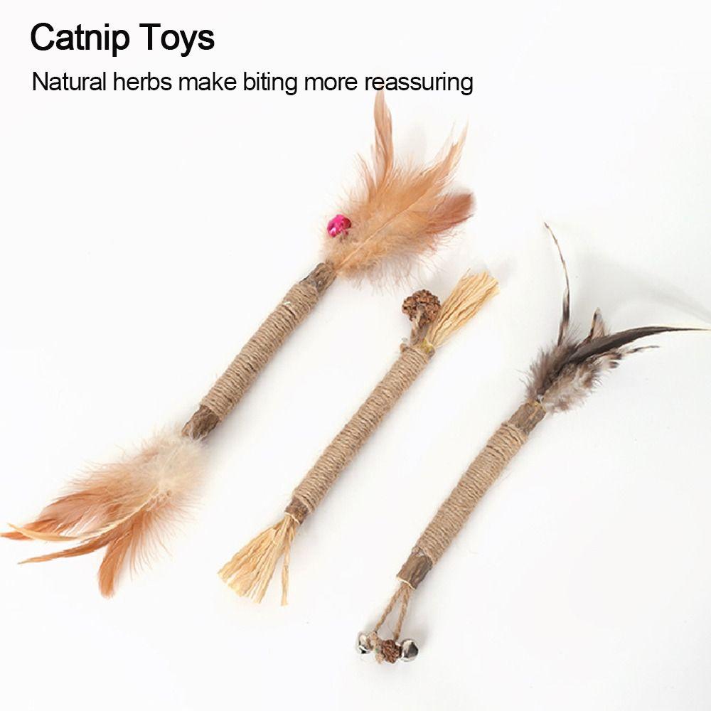 Indoor Toys Cat Toys Chew Toy Cat Crack Cat Wall Toy Wellness Cat Food Silvervine Sticks Cat Chew Sticks Catnip Toys