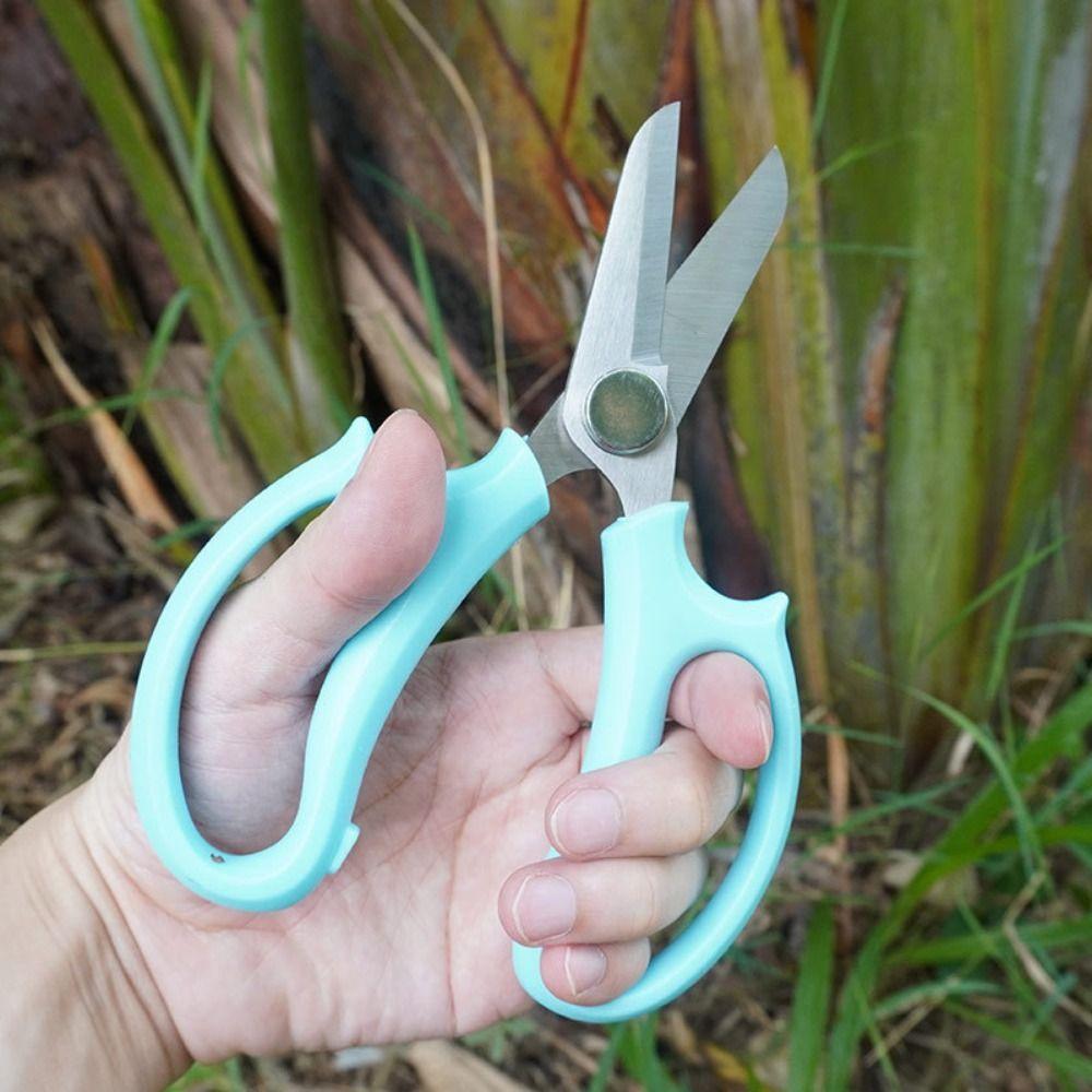 Purple Pruning Tools Blue Garden Scissors Hand Cutter Floral Scissors  Picking Weed