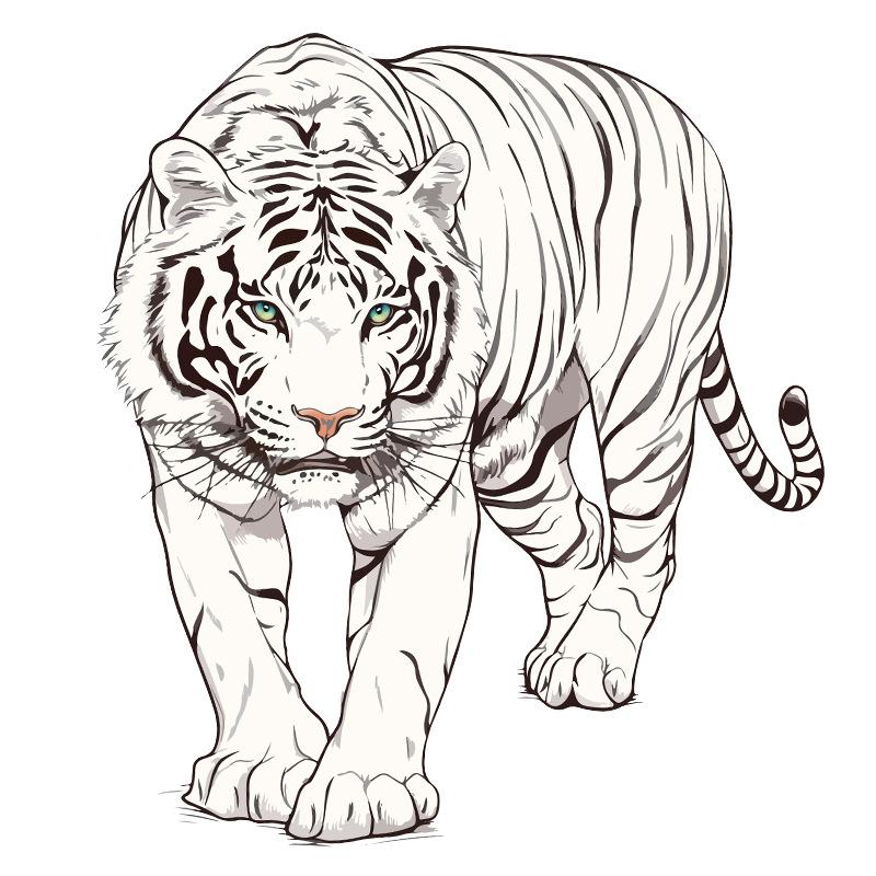 

Мотивационная наклейка Тигр Виниловая наклейка для декора стен офиса Вдохновляющая цитата Постер Кабинет Домашнее искусство 60x90cm разноцветный